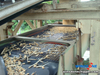 Wood chips screener